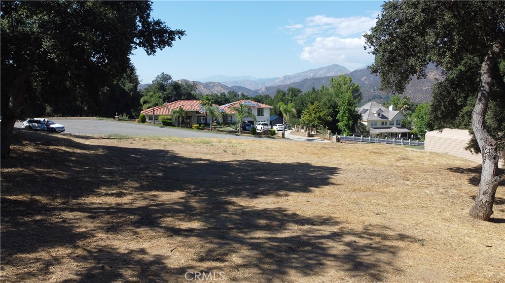 37225 Vista View Drive Yucaipa, CA 92399 - Photo 1 of 1 a view of road with large trees