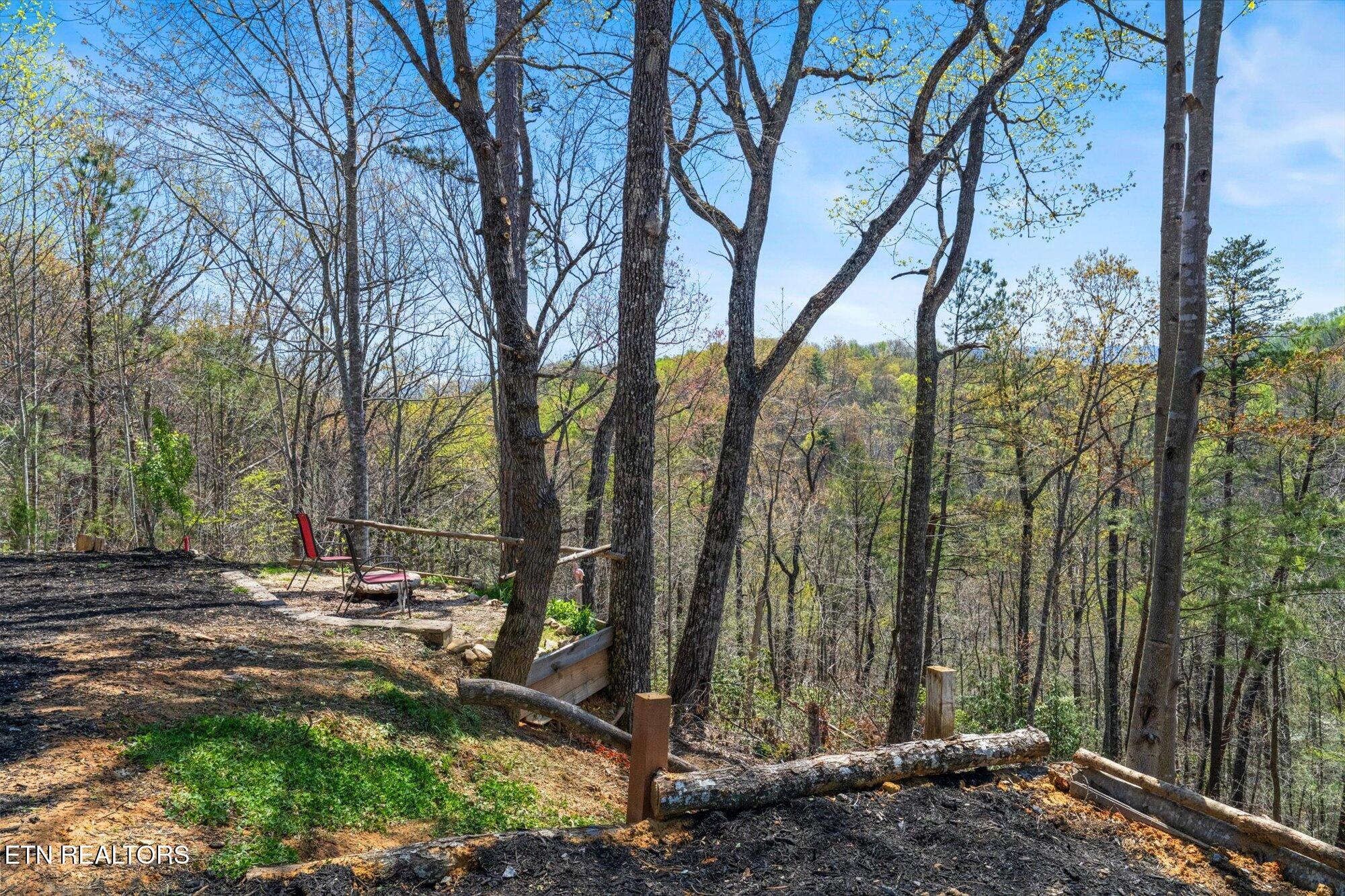 2169 King Hollow Road Sevierville, TN 37876 - Photo 6 of 46 06-2169-King-Hollow-Rd-Sevierville-TN-6