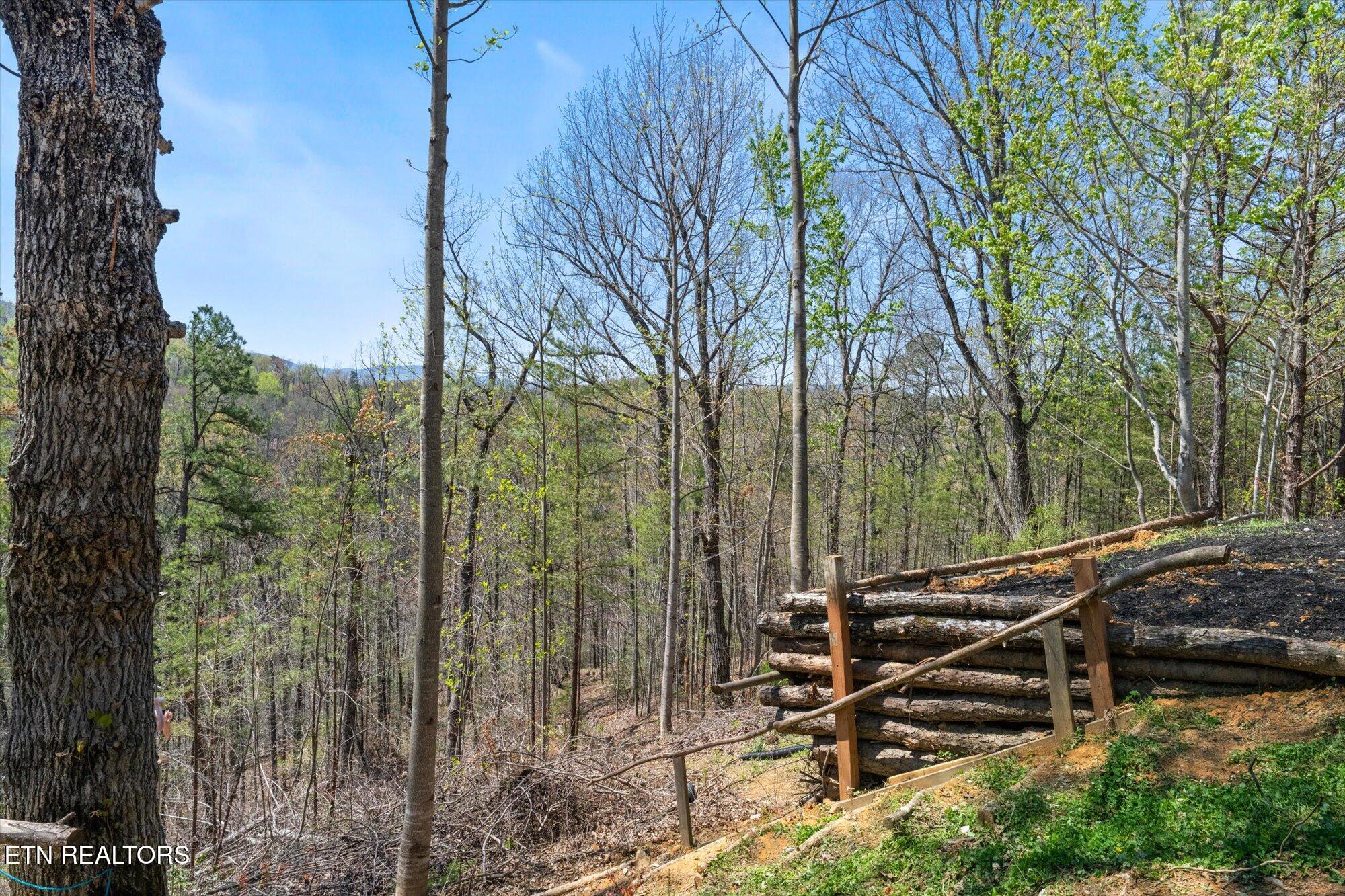 2169 King Hollow Road Sevierville, TN 37876 - Photo 8 of 46 08-2169-King-Hollow-Rd-Sevierville-TN-8