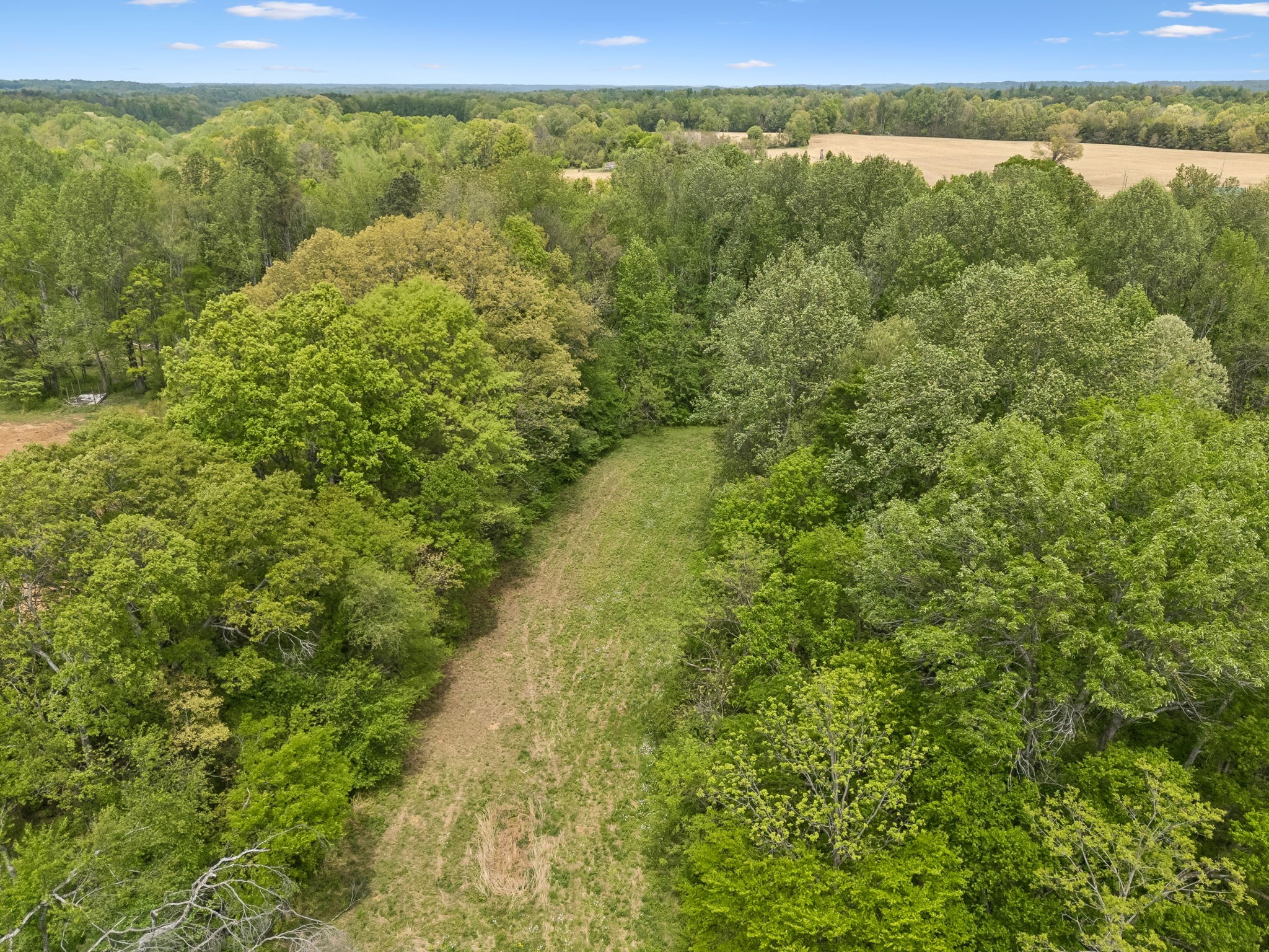 1059 Old Railroad Bed Road Taft, TN 38488 - Photo 12 of 41 a view of a field with an outdoor space