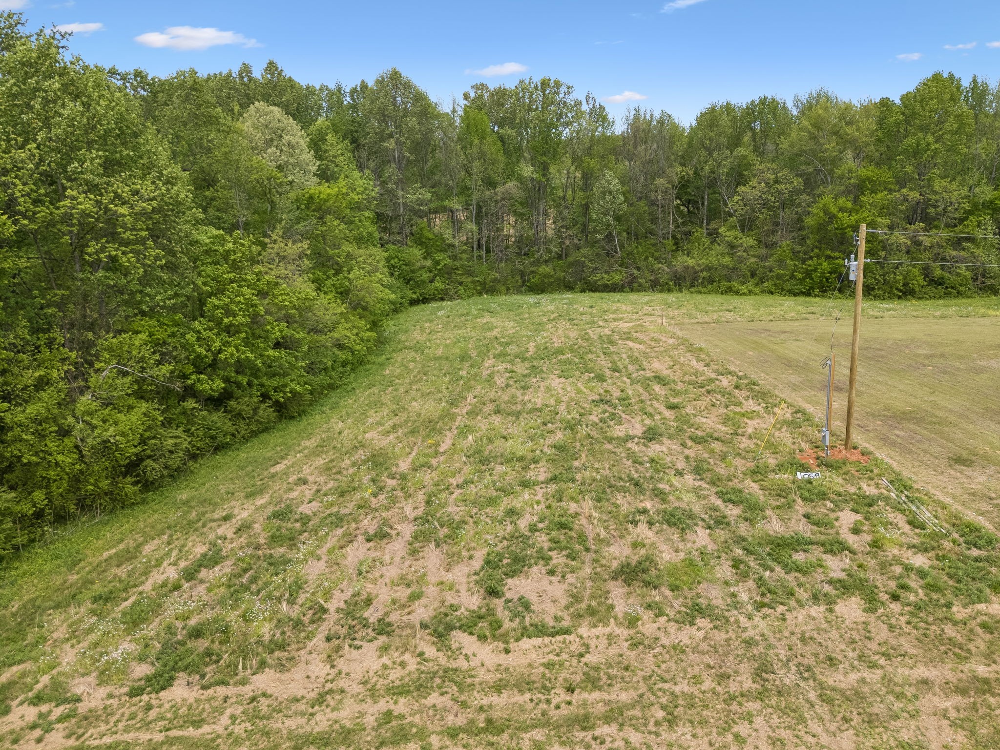 1059 Old Railroad Bed Road Taft, TN 38488 - Photo 17 of 41 a view of a yard with a tree