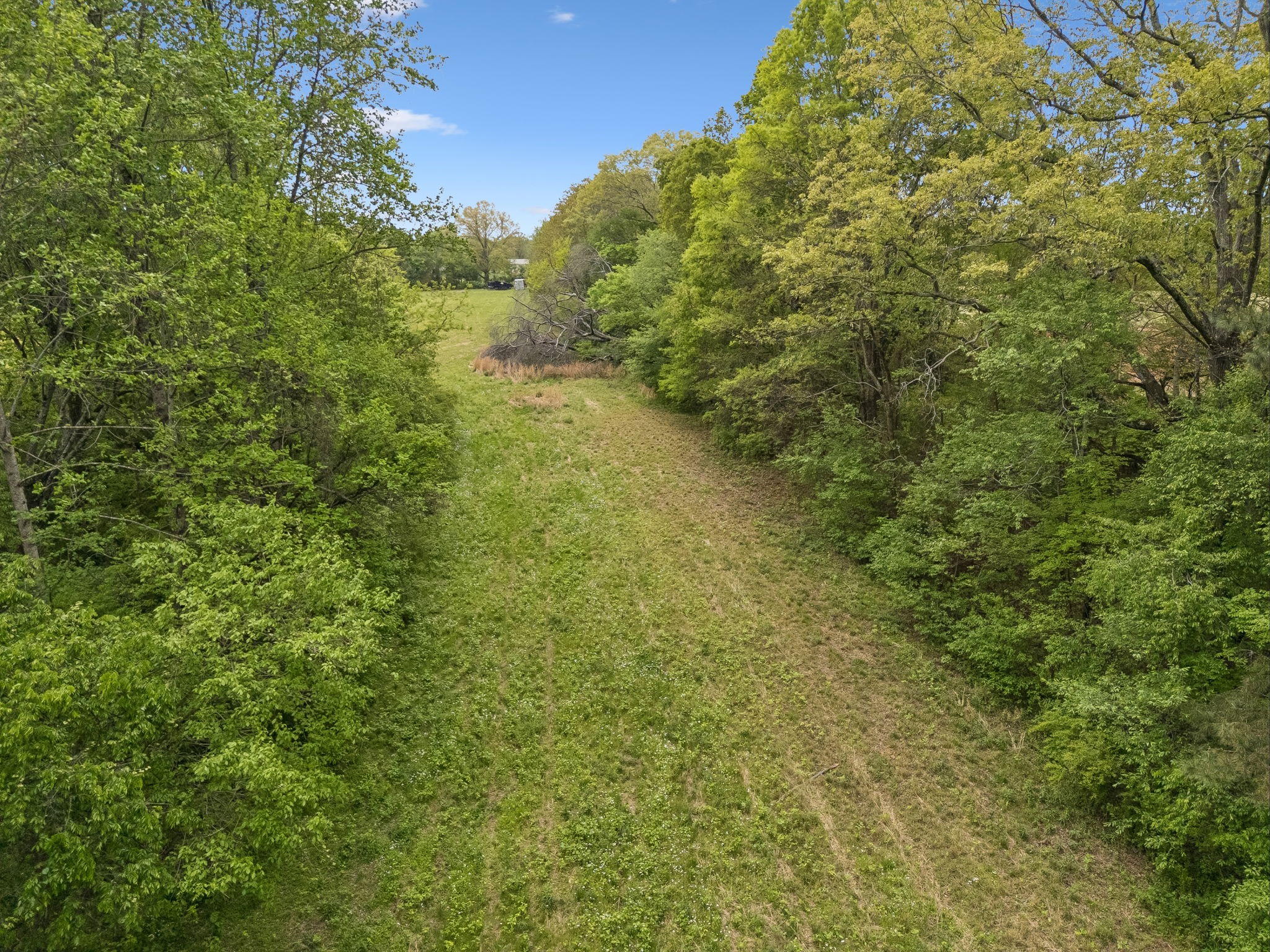 1059 Old Railroad Bed Road Taft, TN 38488 - Photo 20 of 41 a view of a big yard with lots of bushes