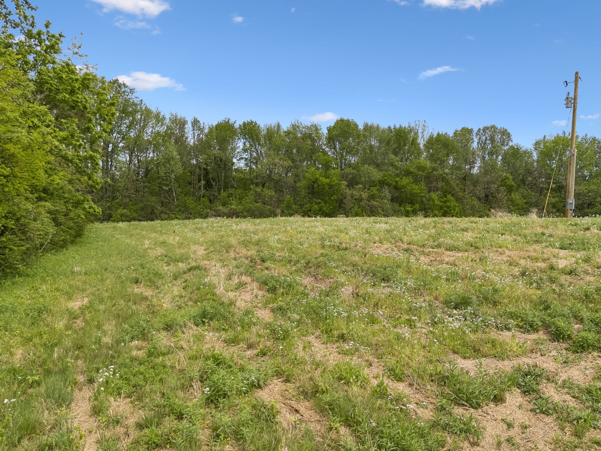 1059 Old Railroad Bed Road Taft, TN 38488 - Photo 27 of 41 a view of field with tall trees