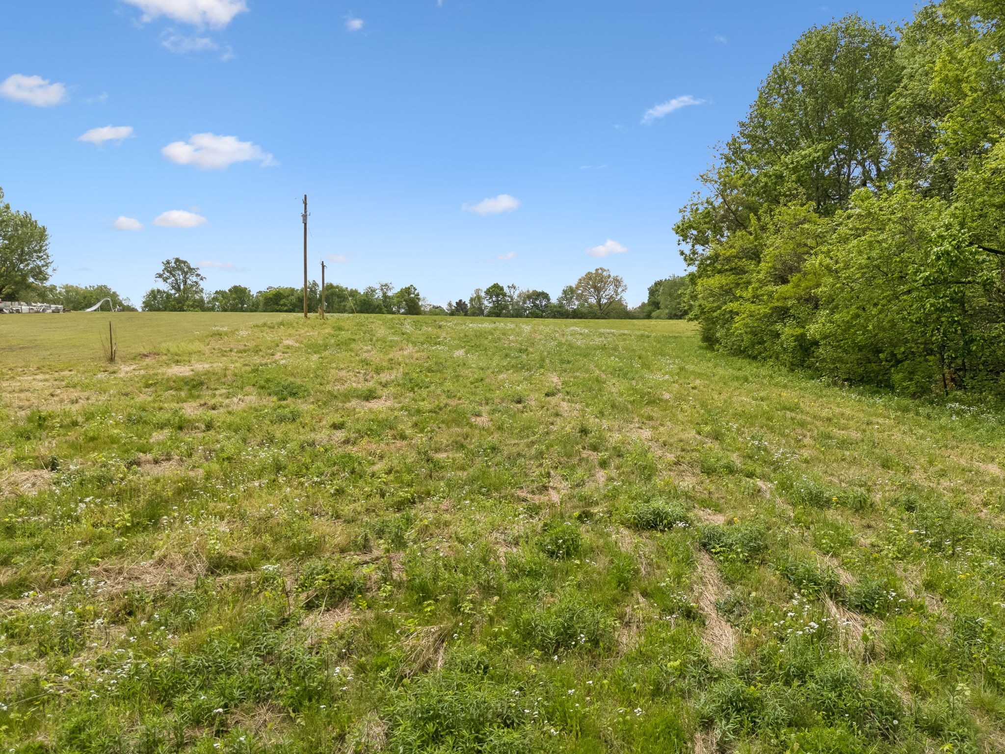 1059 Old Railroad Bed Road Taft, TN 38488 - Photo 31 of 41 a view of outdoor space and yard