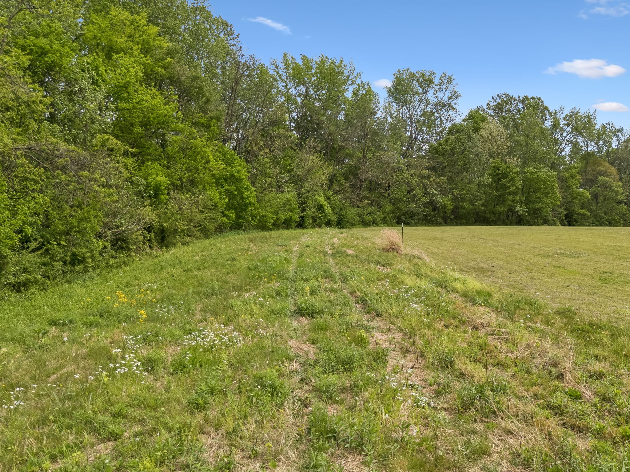 1059 Old Railroad Bed Road Taft, TN 38488 - Photo 32 of 41 a view of an outdoor space and a yard