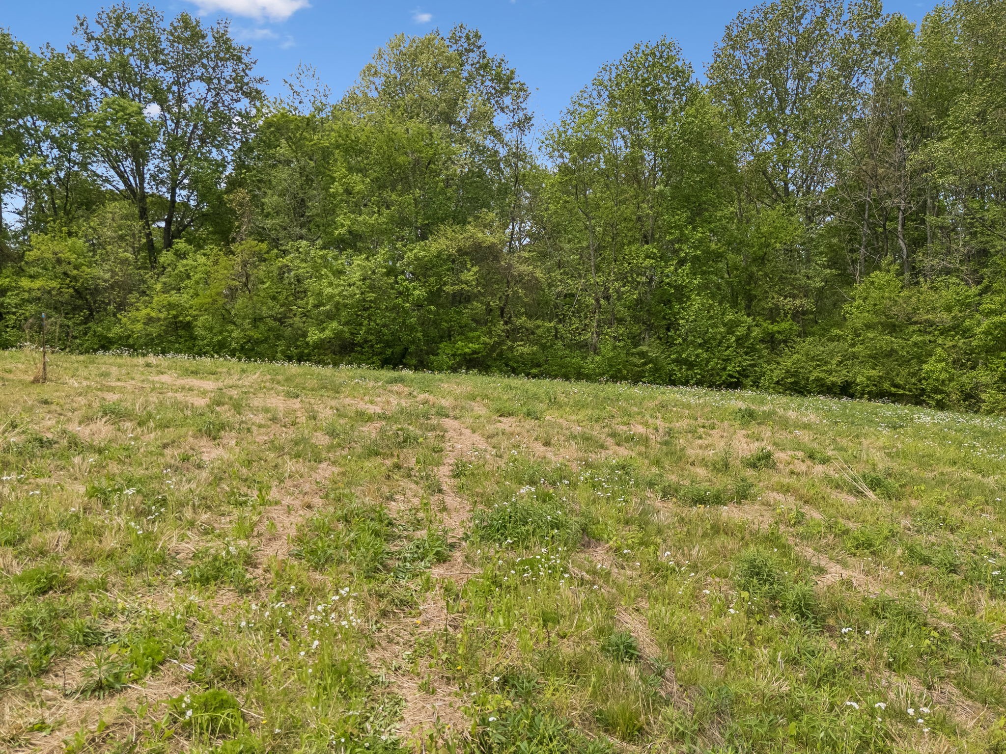 1059 Old Railroad Bed Road Taft, TN 38488 - Photo 33 of 41 a view of a yard with a trees