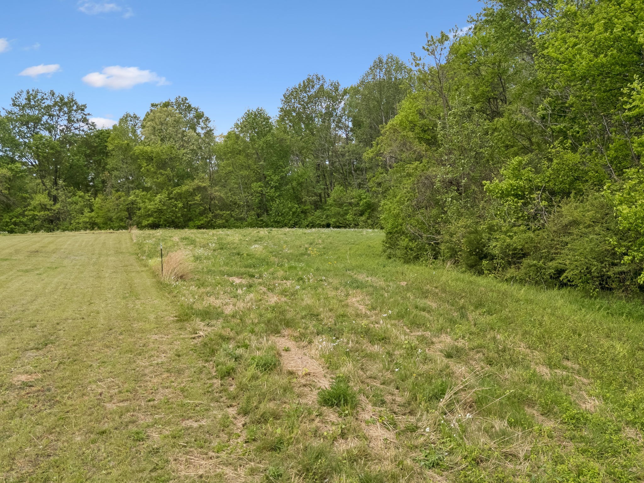 1059 Old Railroad Bed Road Taft, TN 38488 - Photo 34 of 41 a view of yard with large trees