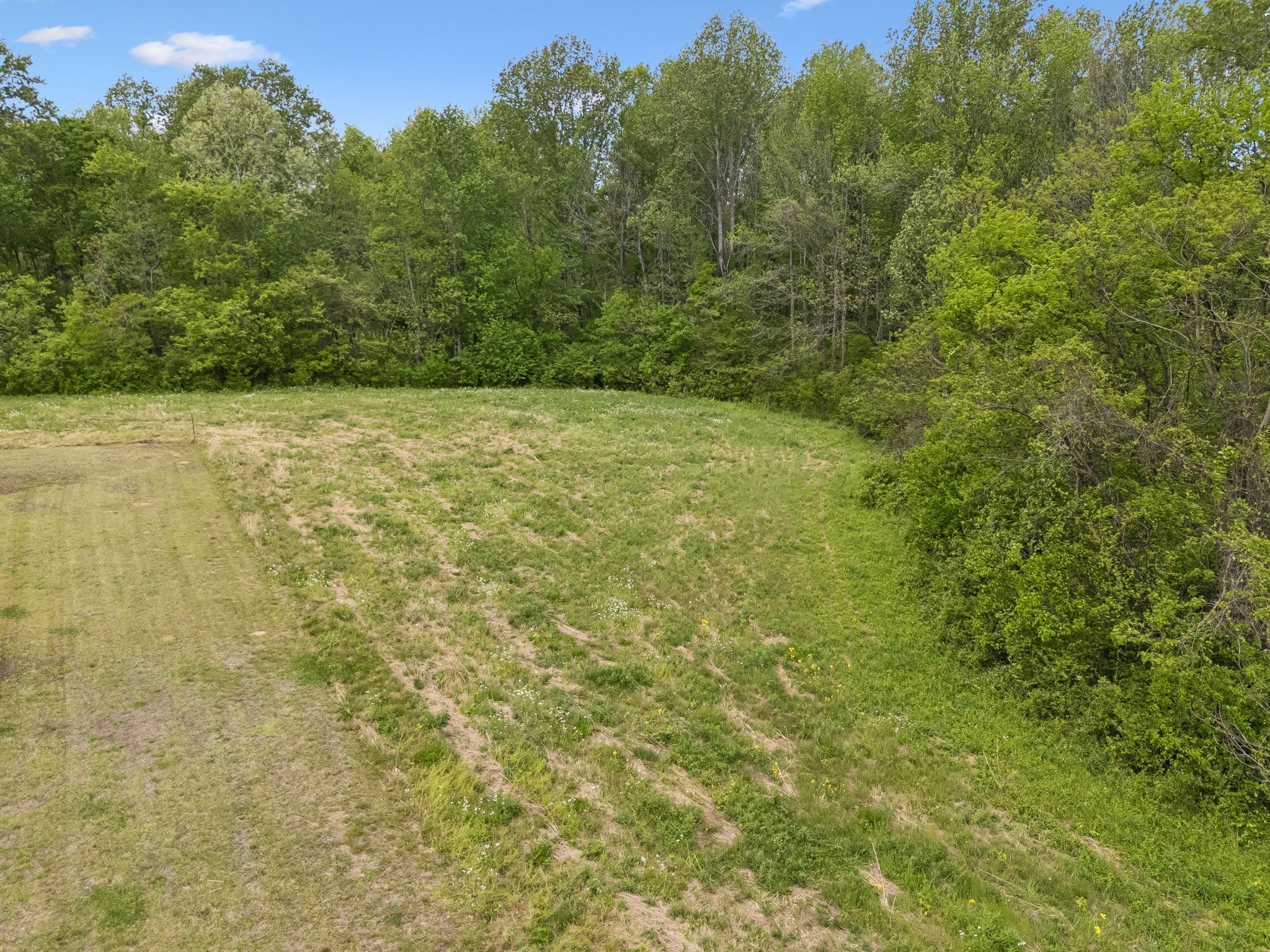 1059 Old Railroad Bed Road Taft, TN 38488 - Photo 35 of 41 a view of a yard with a tree