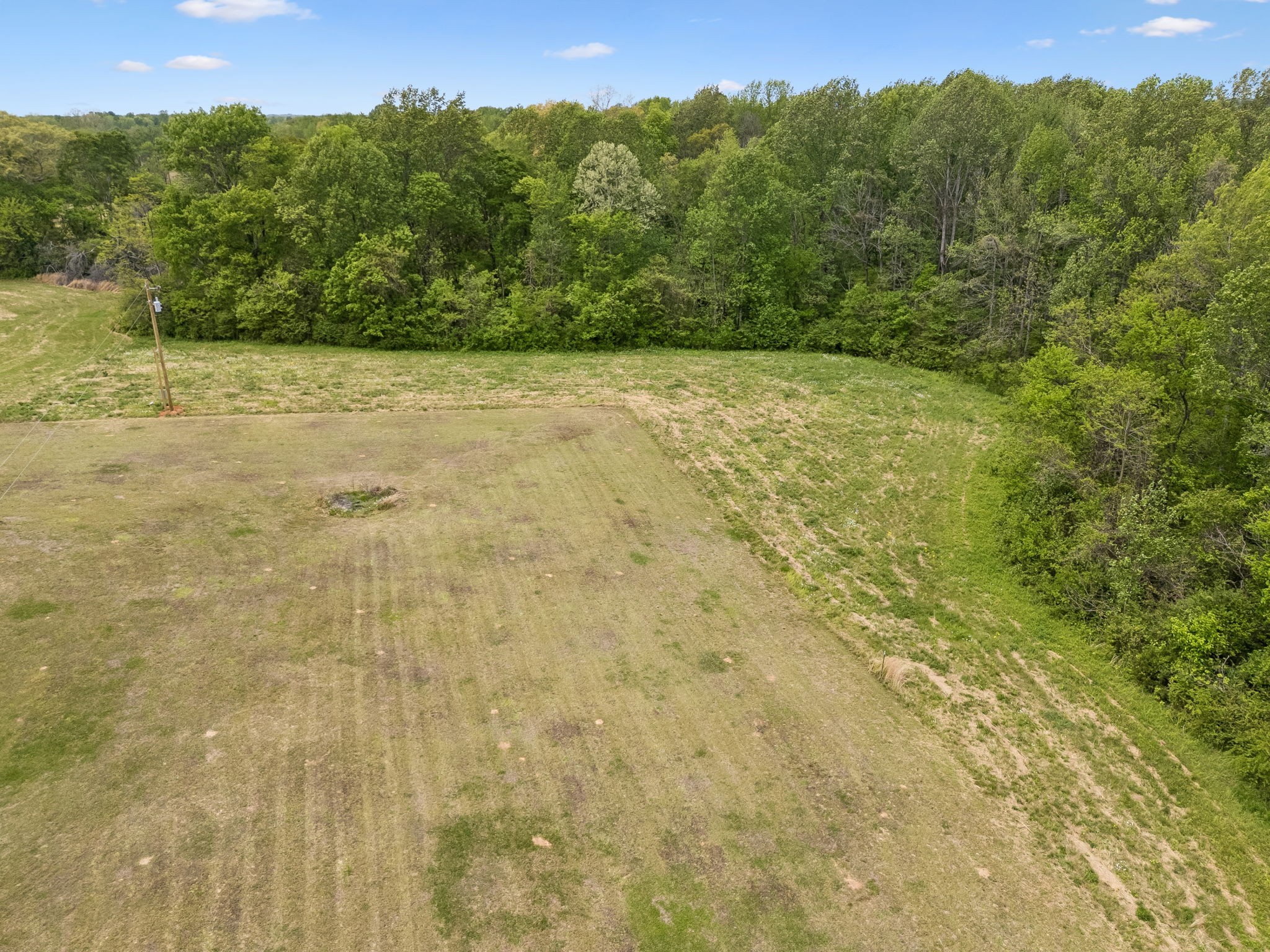1059 Old Railroad Bed Road Taft, TN 38488 - Photo 40 of 41 a view of a yard with a tree