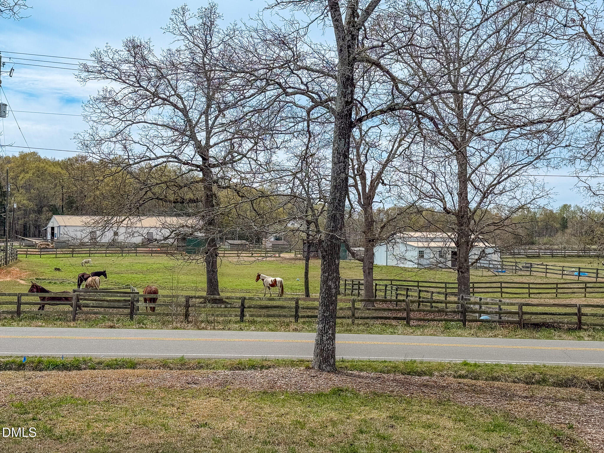 220 Bacon Road Rougemont, NC 27572 - Photo 39 of 42 a view of a yard with large trees