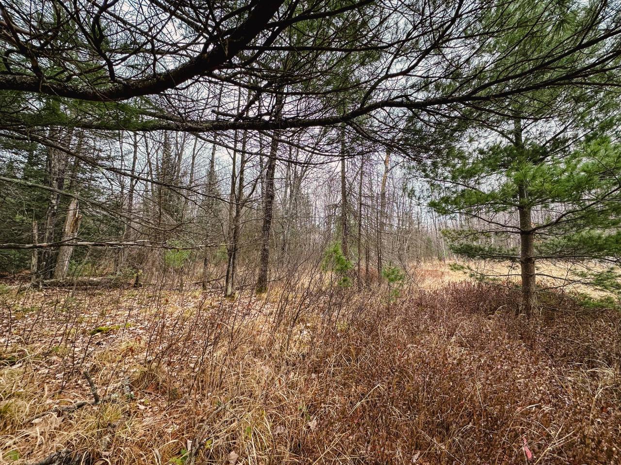 On Loon Lake Road, Unit LOT 6 Eagle River, WI 54521 - Photo 10 of 22 Gallery Image 10