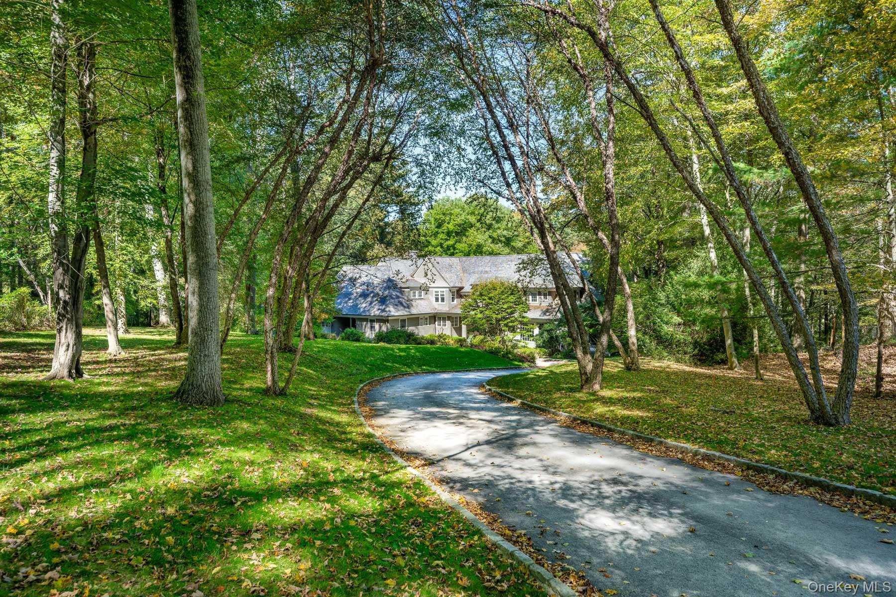 a view of a yard with plants and trees