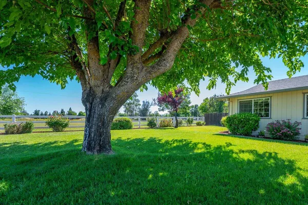 a view of a yard with a house and a large tree