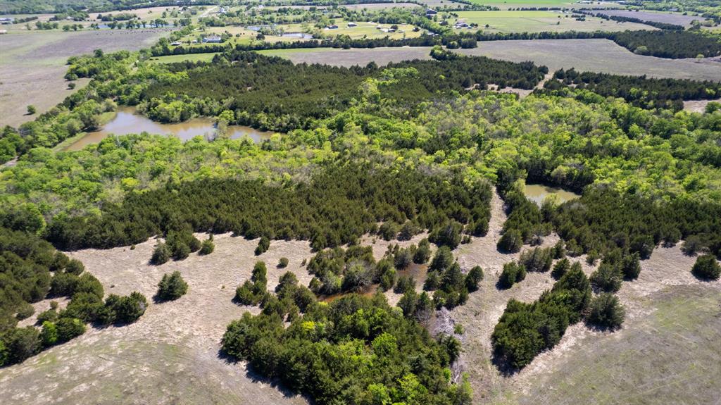 5020 County Road 5020 Road, Unit OF Blue Ridge, TX 75424 - Photo 8 of 17