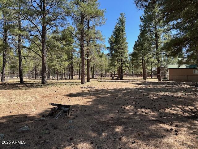 207 Blue Ridge Road Mormon Lake, AZ 86038 - Photo 47 of 66 a view of road with trees