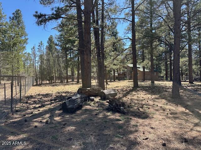 207 Blue Ridge Road Mormon Lake, AZ 86038 - Photo 50 of 66 a view of outdoor space with trees