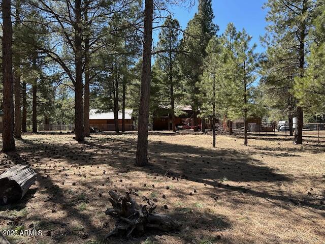 207 Blue Ridge Road Mormon Lake, AZ 86038 - Photo 51 of 66 a view of road with trees