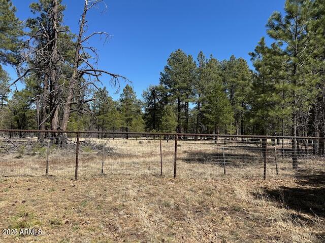 207 Blue Ridge Road Mormon Lake, AZ 86038 - Photo 52 of 66 a view of a yard with wooden fence