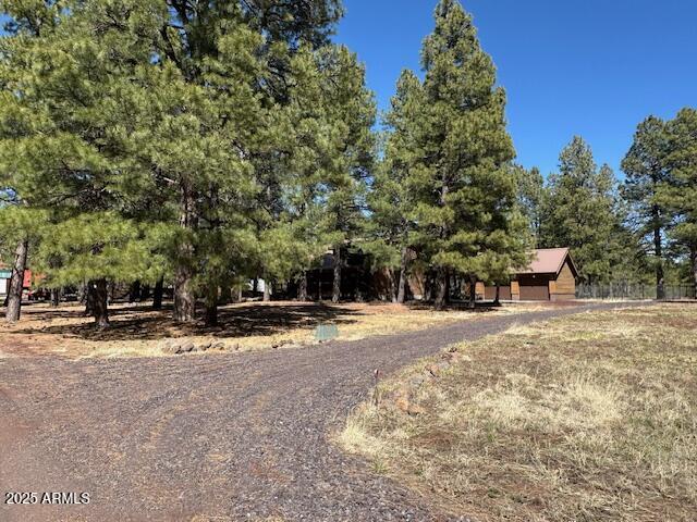207 Blue Ridge Road Mormon Lake, AZ 86038 - Photo 6 of 66 a view of a tree with a yard