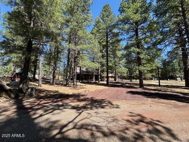 207 Blue Ridge Road Mormon Lake, AZ 86038 - Photo 8 of 66 a view of road with trees