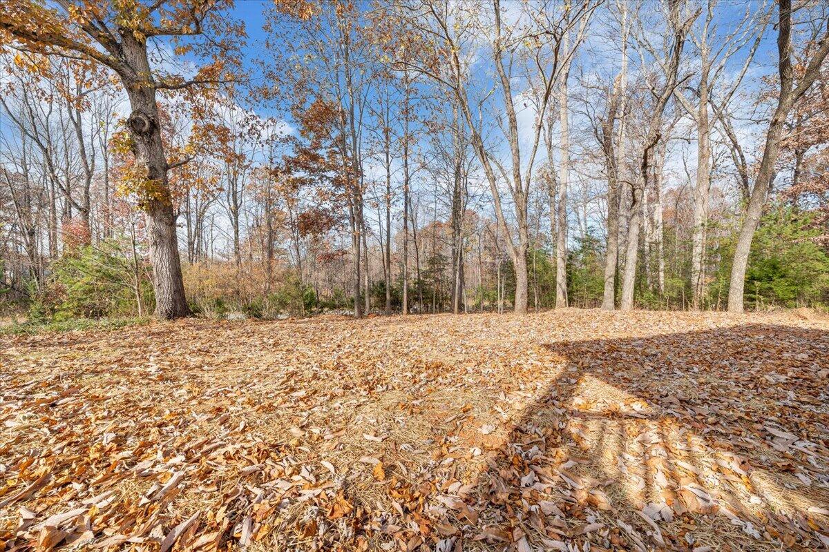 149 Windlass Road Moneta, VA 24121 - Photo 43 of 44 54-MIB04338