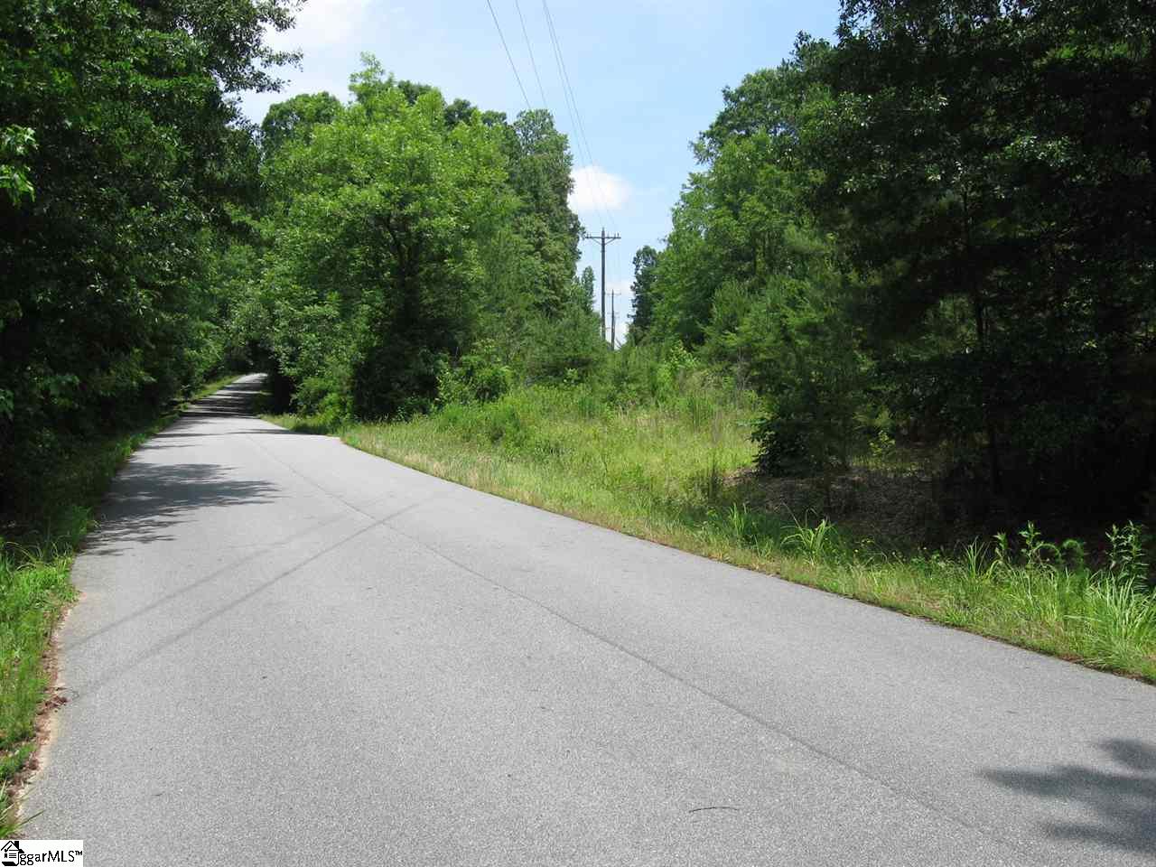 179 Peden Road Fountain Inn, SC 29644 - Photo 2 of 10