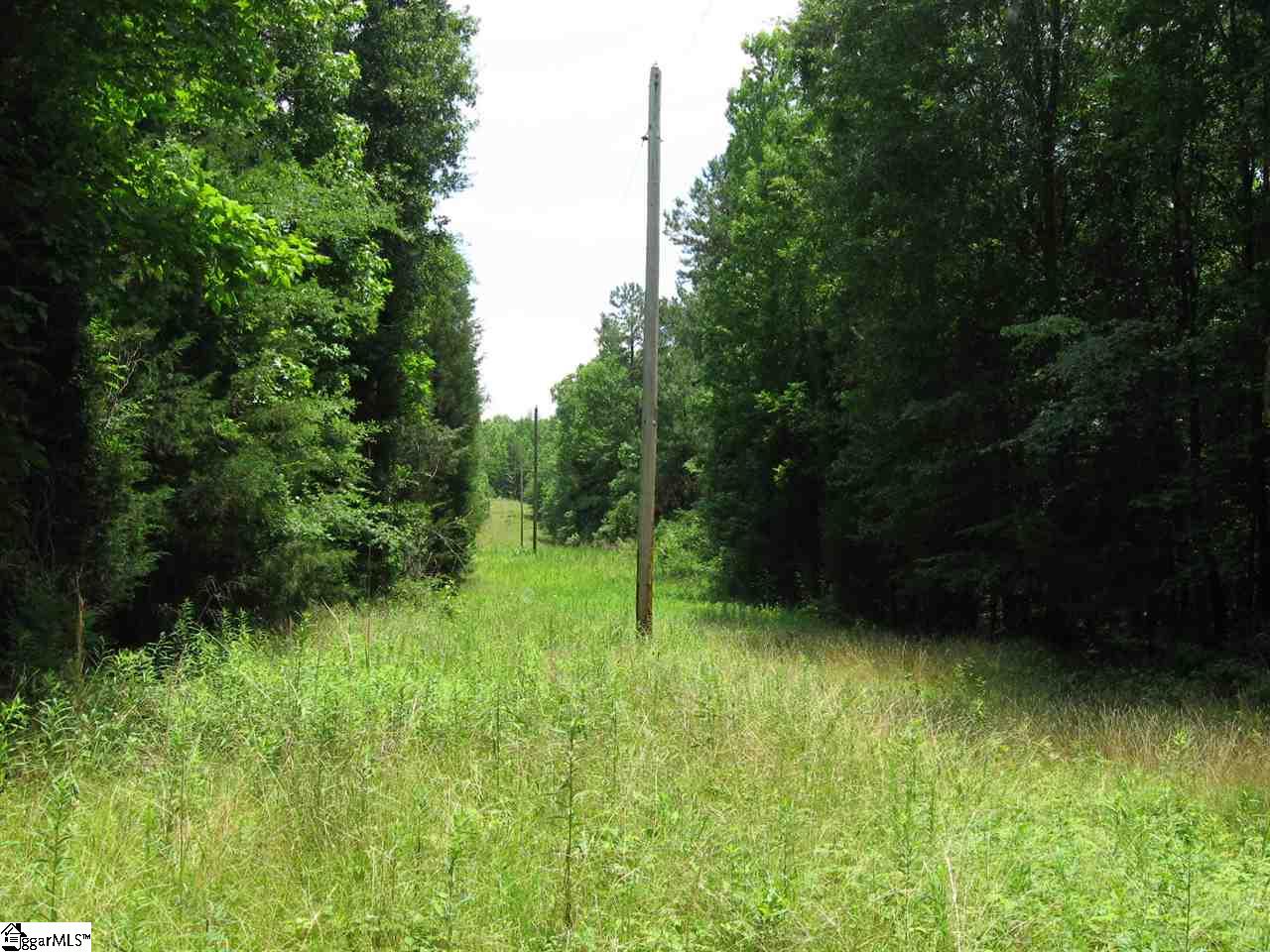 179 Peden Road Fountain Inn, SC 29644 - Photo 4 of 10