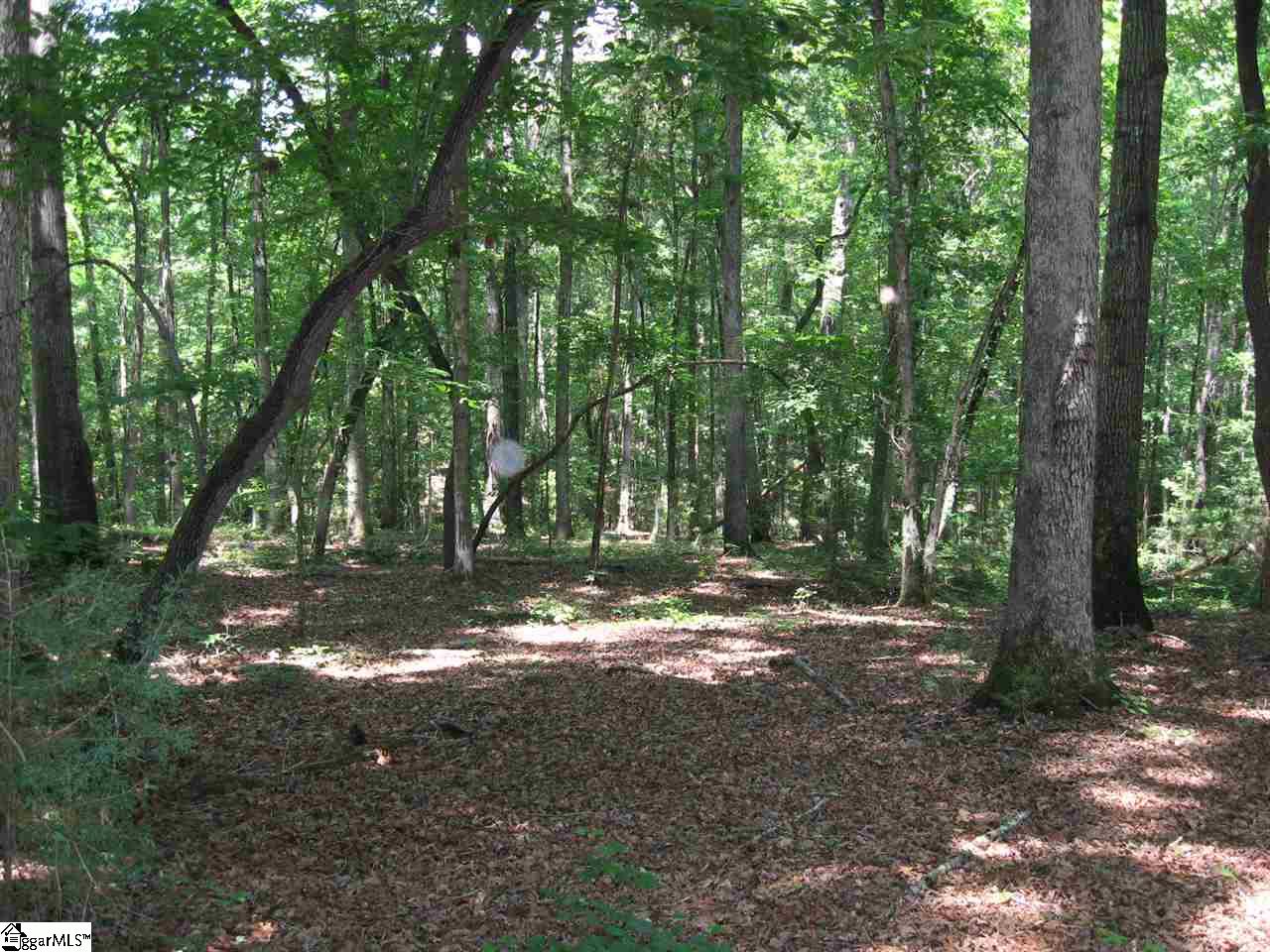 179 Peden Road Fountain Inn, SC 29644 - Photo 6 of 10