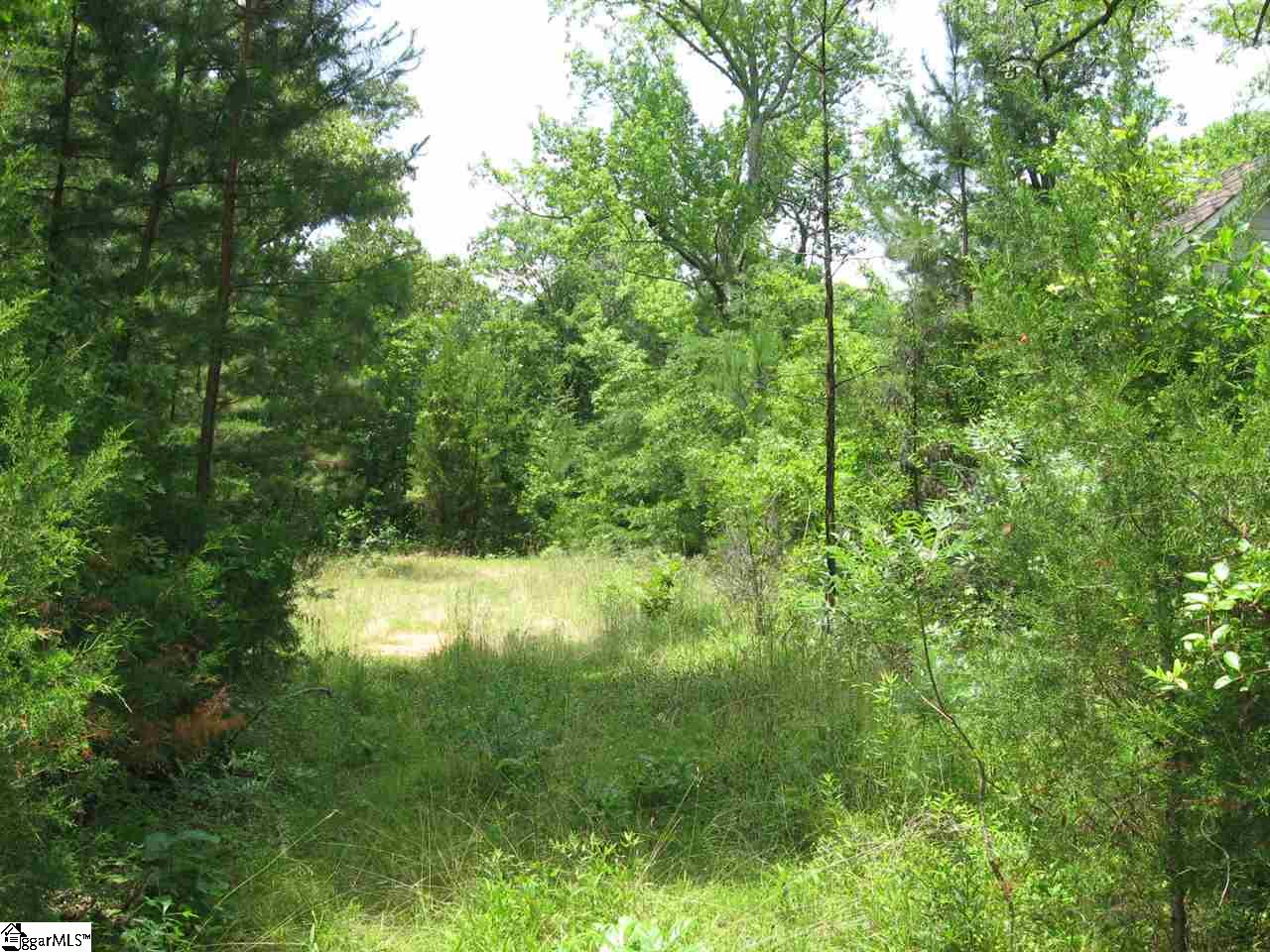 179 Peden Road Fountain Inn, SC 29644 - Photo 9 of 10