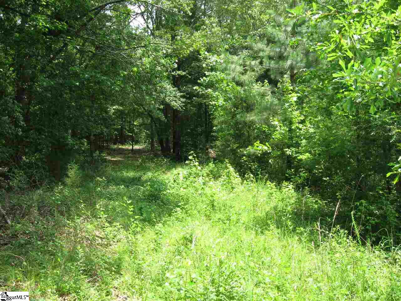 179 Peden Road Fountain Inn, SC 29644 - Photo 10 of 10