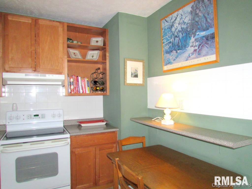 1925 South State Street Springfield, IL 62704 - Photo 12 of 25