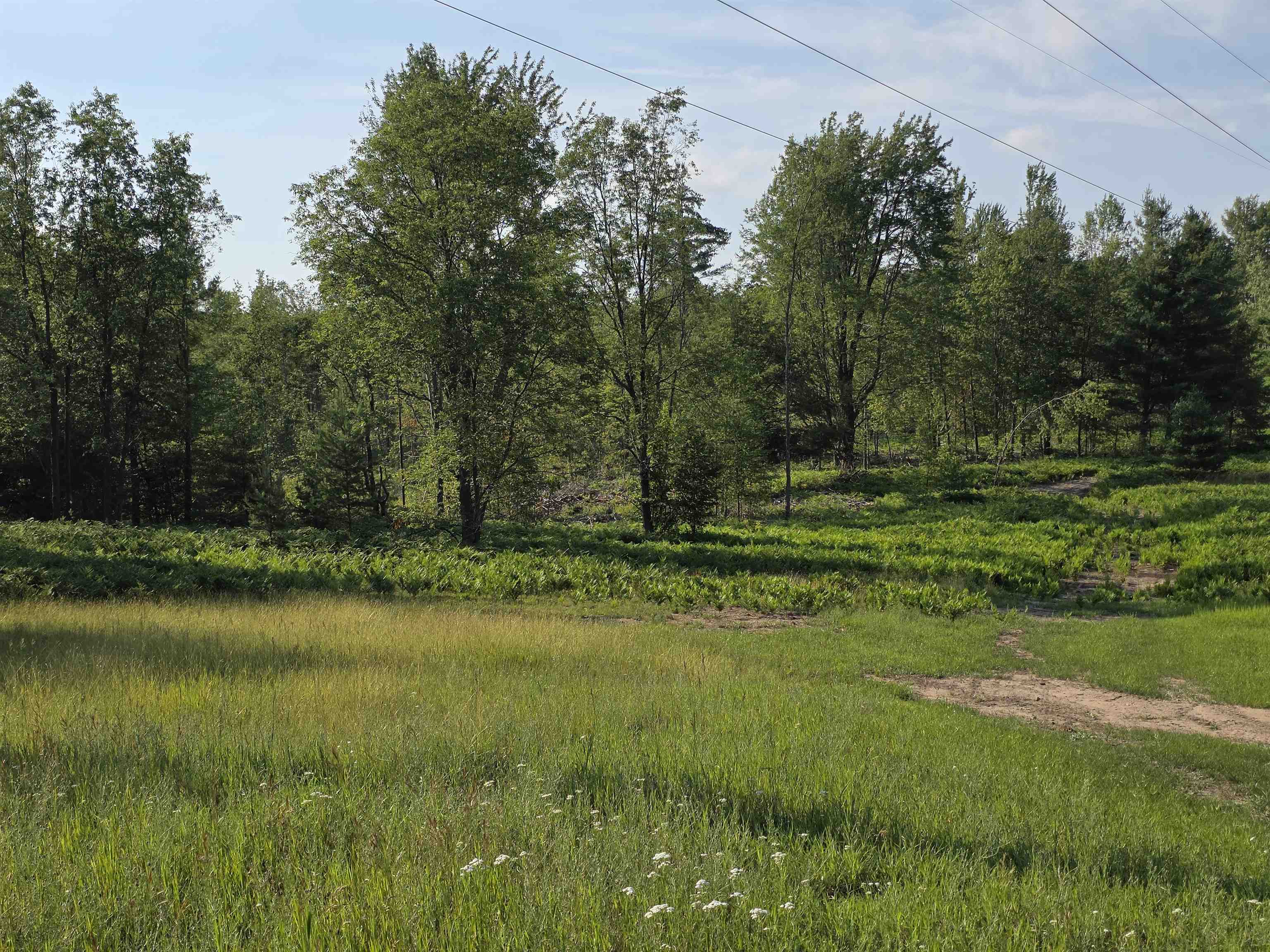 0 Arnold Road Manton, MI 49663 - Photo 27 of 63