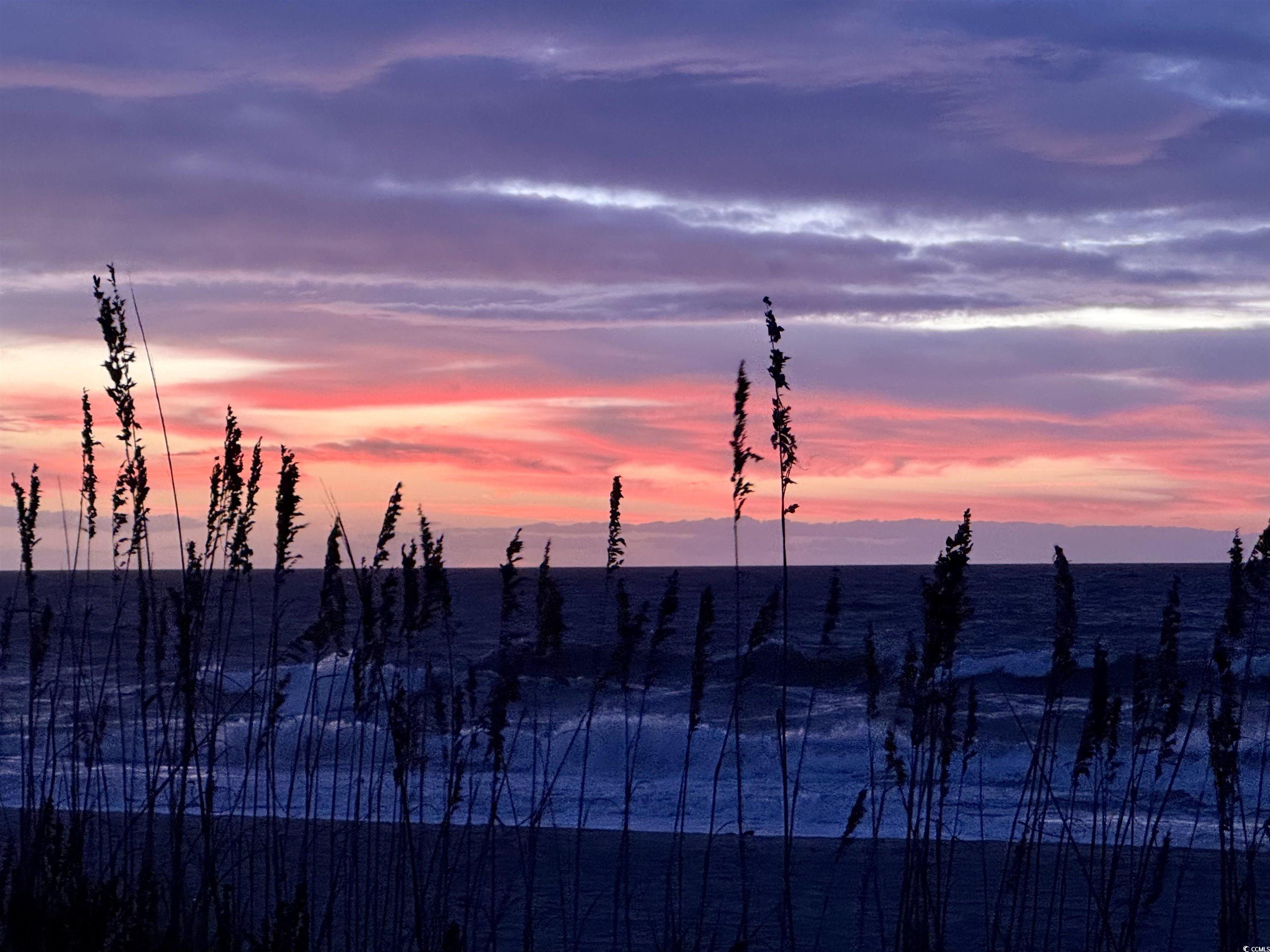 301 North Waccamaw Drive, Unit 108 Murrells Inlet, SC 29576 - Photo 29 of 29