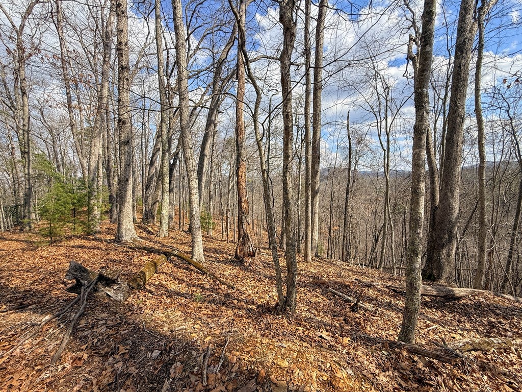 906 Scratch Gravel Road Max Meadows, VA 24360 - Photo 19 of 27 Gallery Image 19