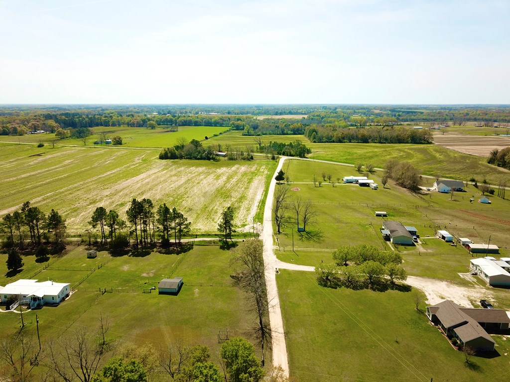 10.69-acres Summer Road Slocomb, AL 36375 - Photo 49 of 51