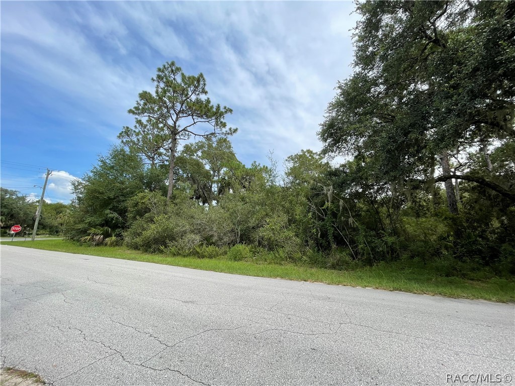 0 West Highway 40 West Inglis, FL 34449 - Photo 5 of 6