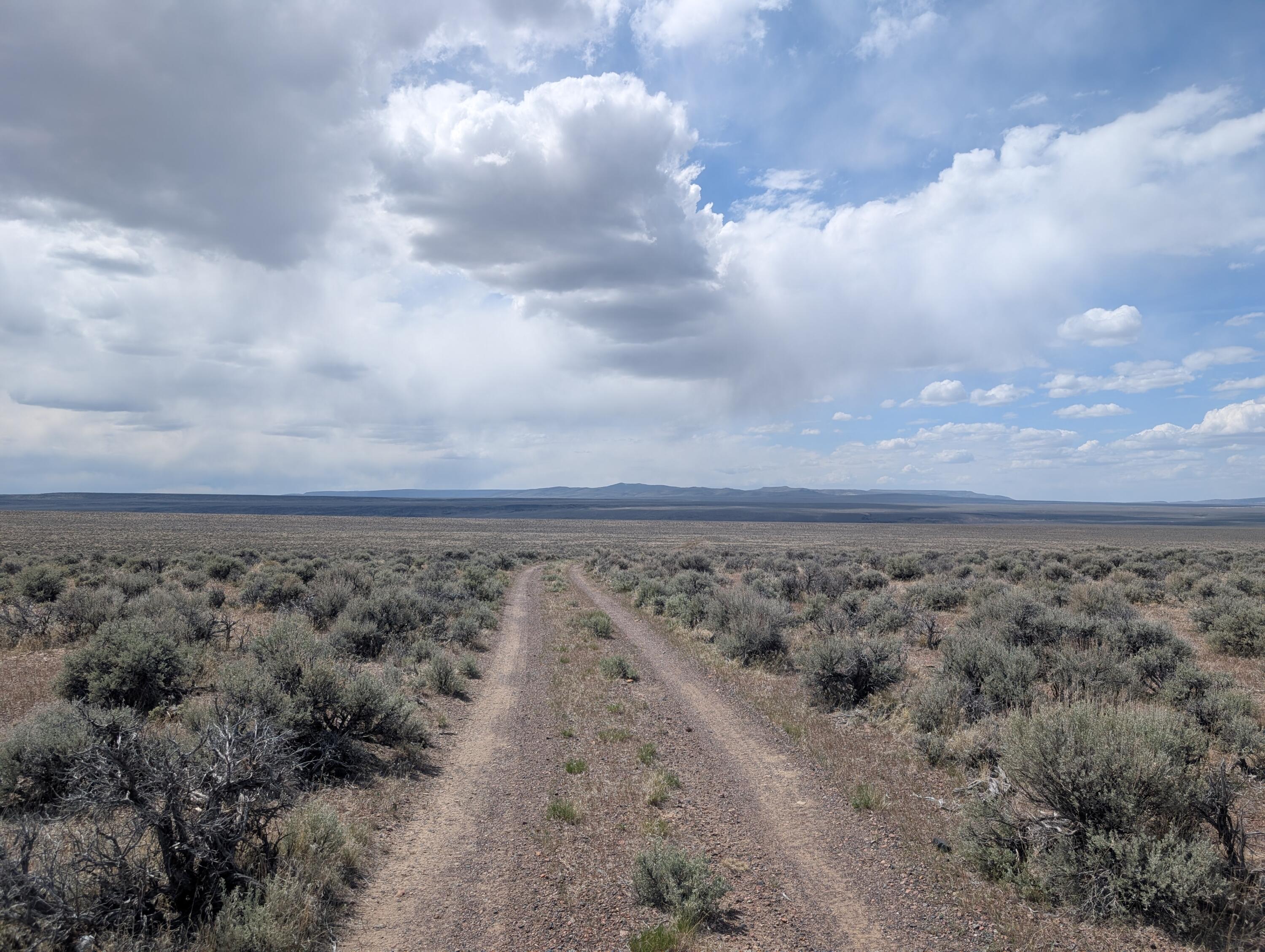 Black Canyon Road Adel, OR 97620 - Photo 10 of 10 a view of a dry yard with lots of trees