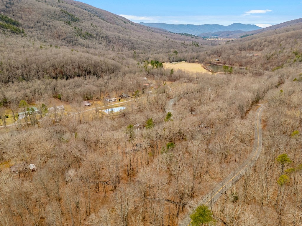 0 Grapefield Road Bastian, VA 24314 - Photo 57 of 63 Gallery Image 57