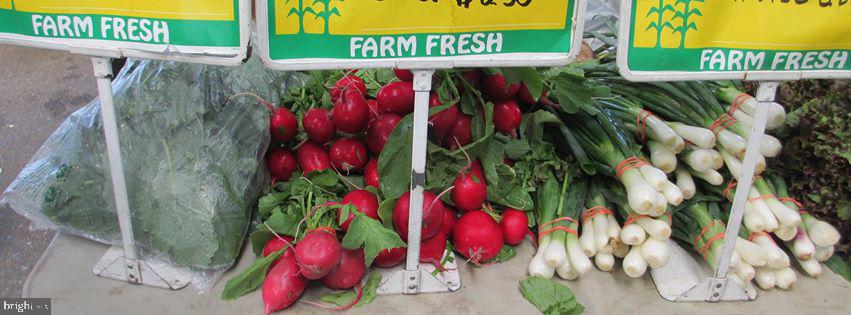 606 Amoss Road Severna Park, MD 21146 - Photo 49 of 49 Severna Park farmer's market