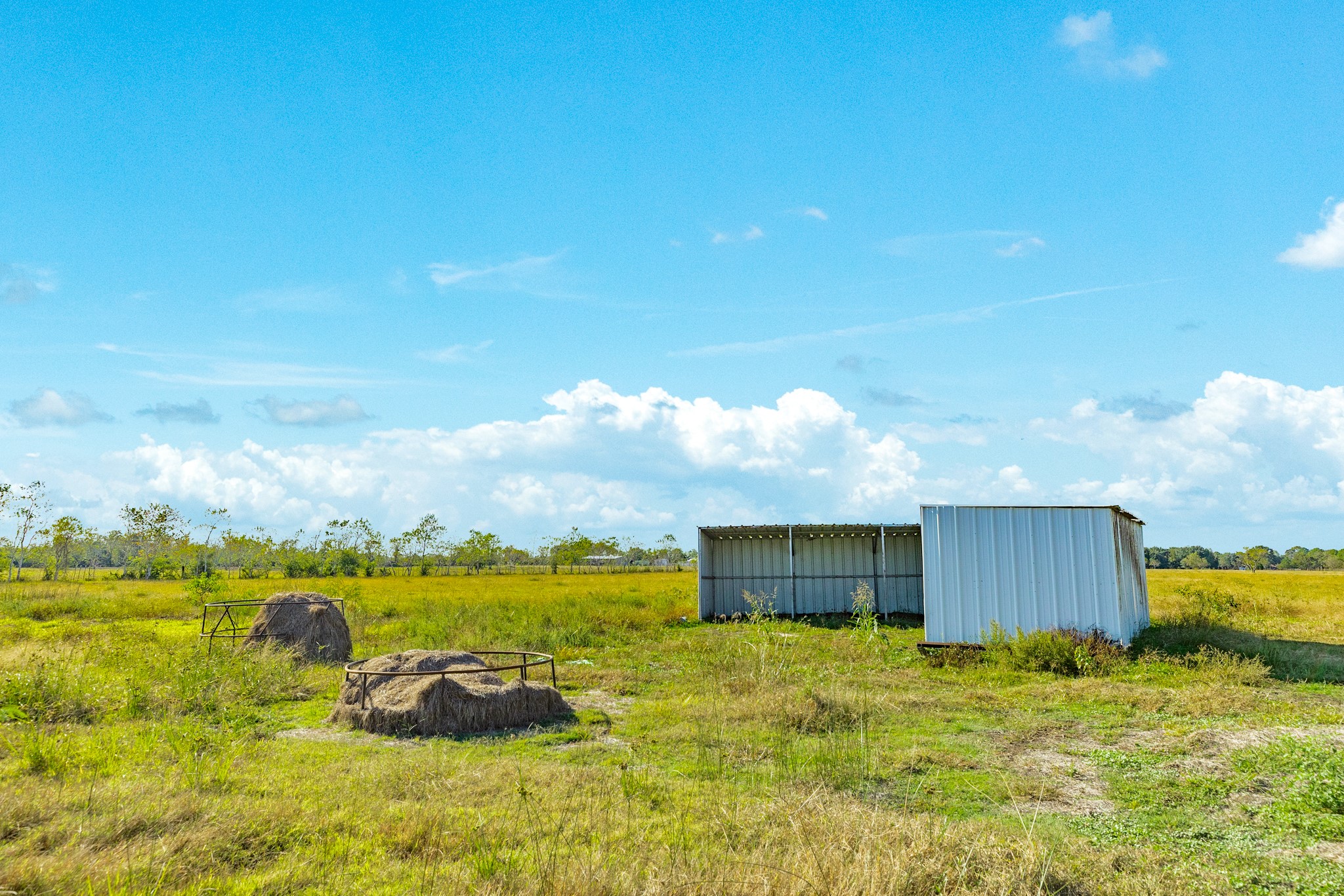 1682 Herring Road Alvin, TX 77511 - Photo 11 of 19 a backyard of a house with table and chairs