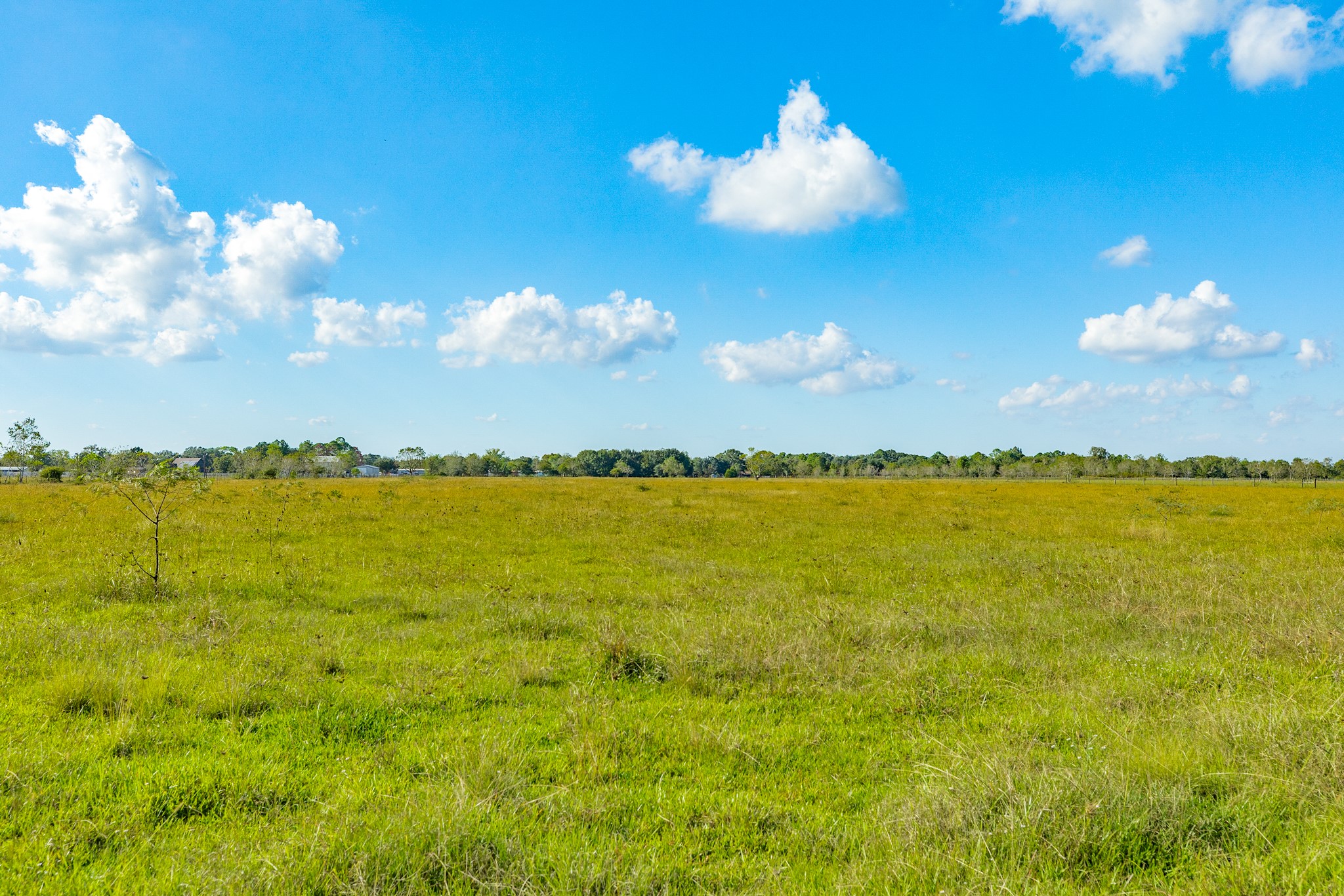 1682 Herring Road Alvin, TX 77511 - Photo 19 of 19 a view of a lake and sunset