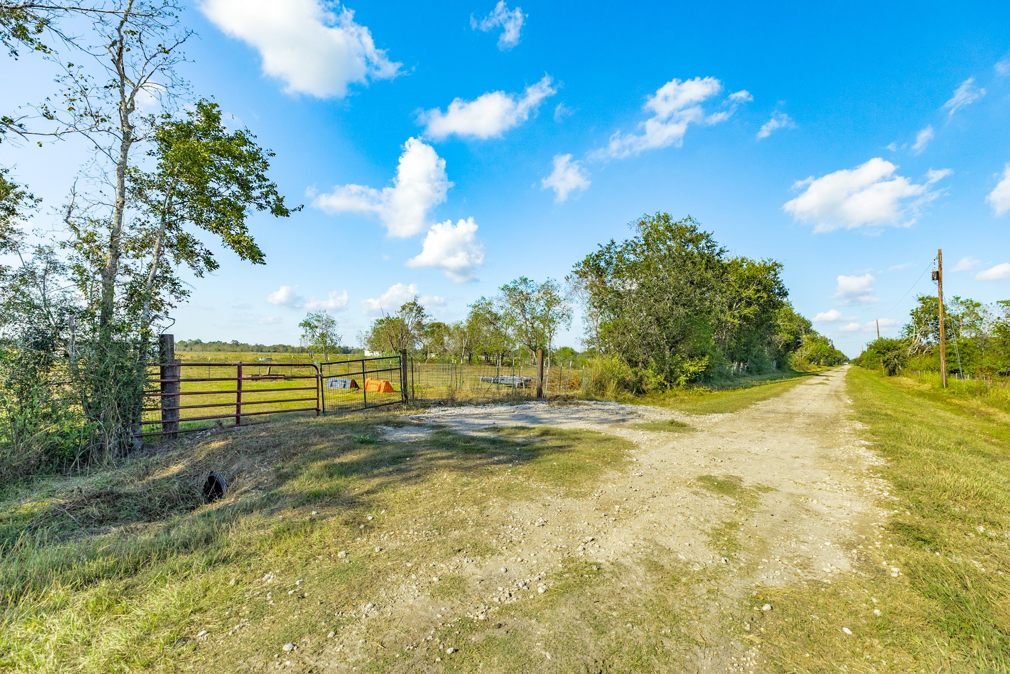 1682 Herring Road Alvin, TX 77511 - Photo 5 of 19 a view of a yard with swimming pool