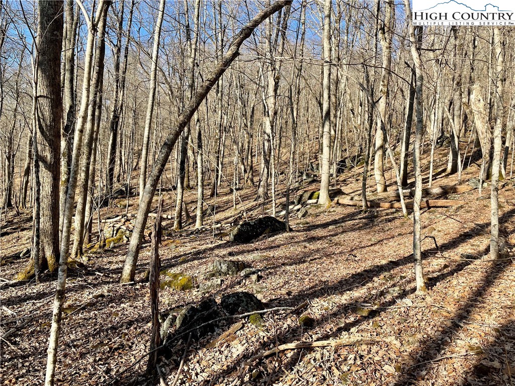 Lot 66 Fire Pink Road Boone, NC 28607 - Photo 3 of 13 Gallery Image 3