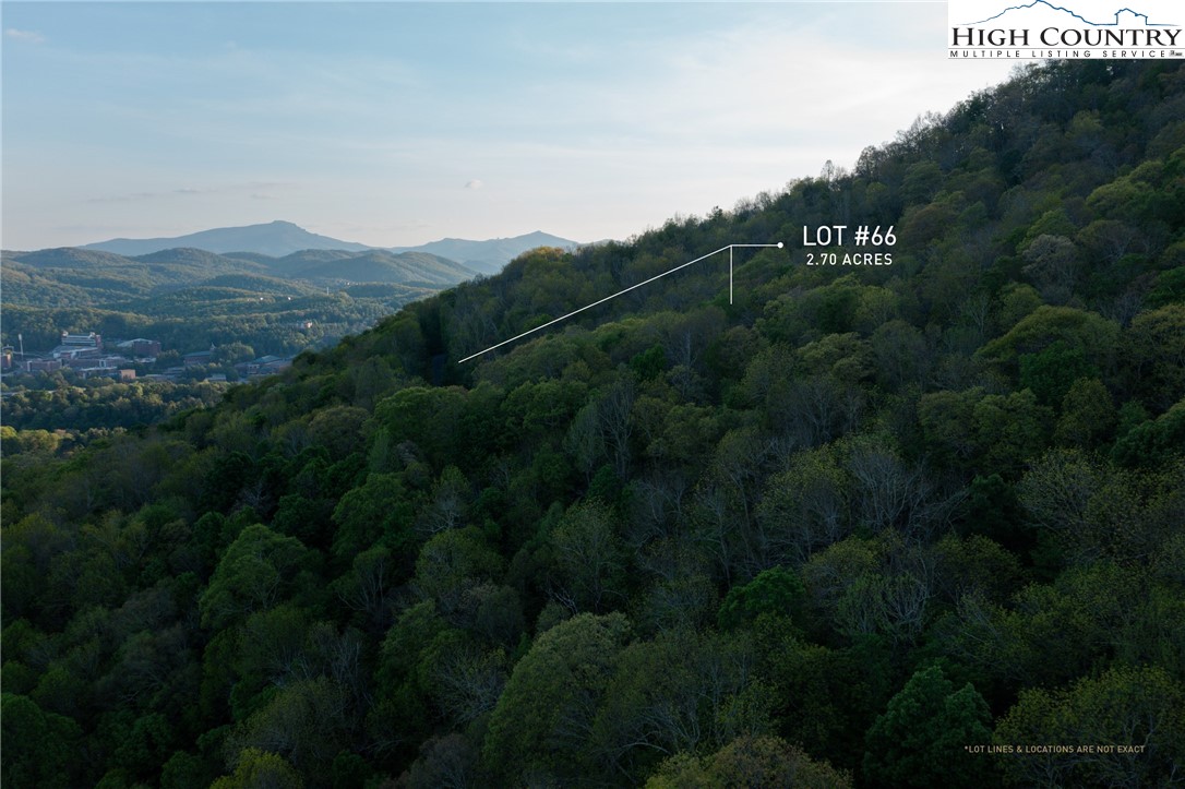 Lot 66 Fire Pink Road Boone, NC 28607 - Photo 7 of 13 Gallery Image 7