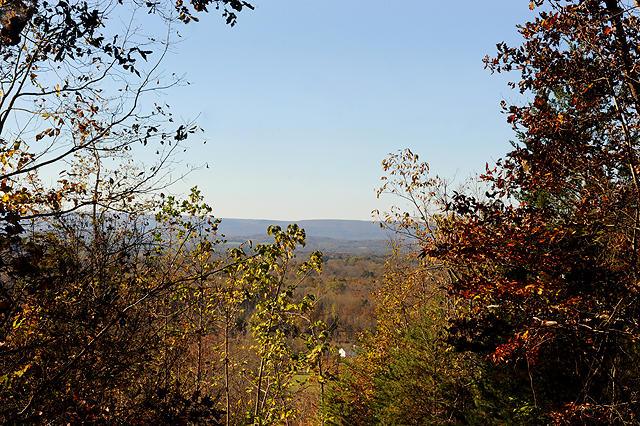 3920 Cottonport Road Decatur, TN 37322 - Photo 3 of 56 DSC_3297