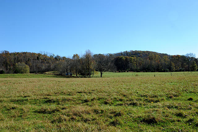 3920 Cottonport Road Decatur, TN 37322 - Photo 29 of 56 DSC_3231