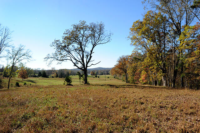 3920 Cottonport Road Decatur, TN 37322 - Photo 30 of 56 DSC_3234