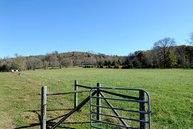 3920 Cottonport Road Decatur, TN 37322 - Photo 4 of 56 DSC_3219