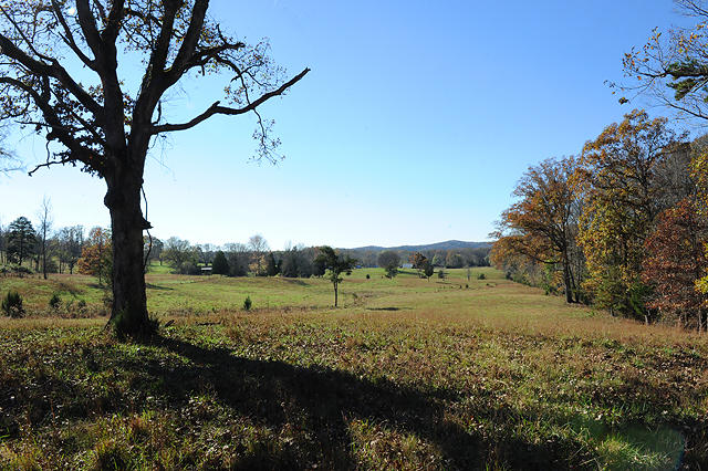3920 Cottonport Road Decatur, TN 37322 - Photo 34 of 56 DSC_3240
