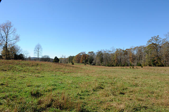 3920 Cottonport Road Decatur, TN 37322 - Photo 35 of 56 DSC_3241